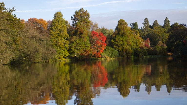 View of a lake and trees in autumn reflected in the water